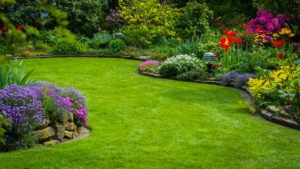 St. Augustine Grass Care - Luv-a-Lawn and Pest Control Osceola Pest Control Company