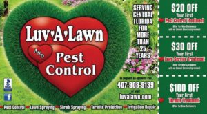 Pest Control Discount Offer