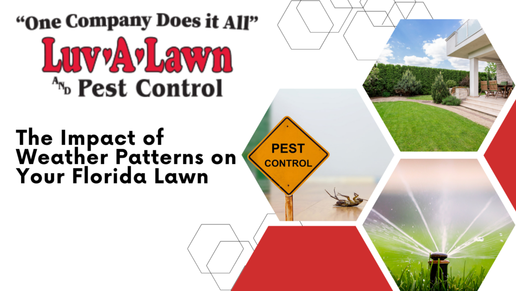 The Impact of Weather Patterns on Your Florida Lawn