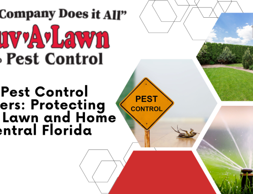 Why Pest Control Matters: Protecting Your Lawn and Home in Central Florida