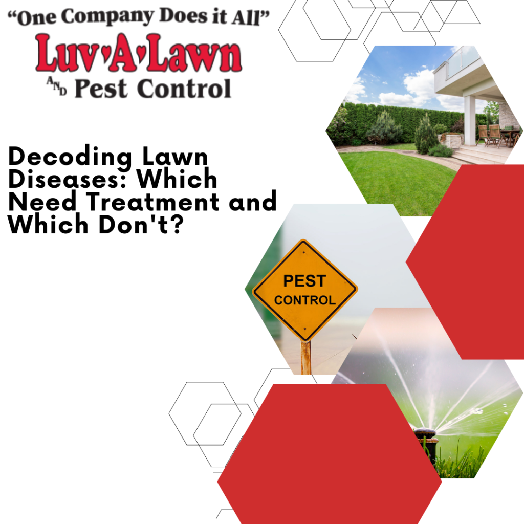 Decoding Lawn Diseases