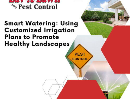 Smart Watering: Using Customized Irrigation Plans to Promote Healthy Landscapes