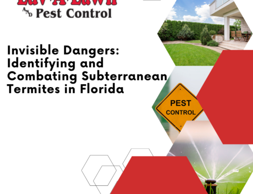 Invisible Dangers: Identifying and Combating Subterranean Termites in Florida