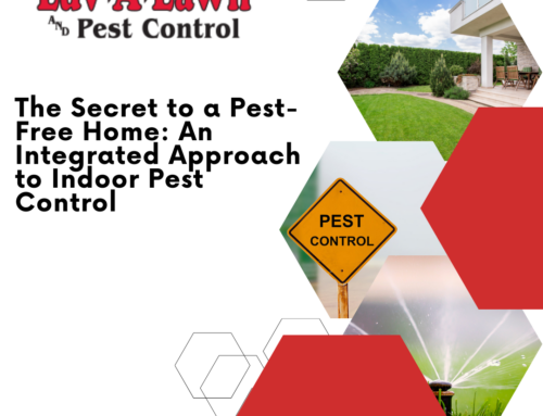 The Secret to a Pest-Free Home: An Integrated Approach to Indoor Pest Control