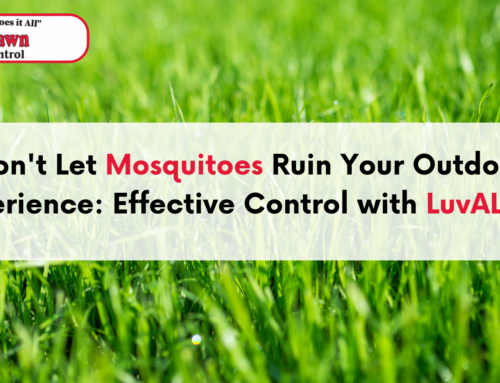 Don’t Let Mosquitoes Ruin Your Outdoor Experience: Effective Control with LuvALawn