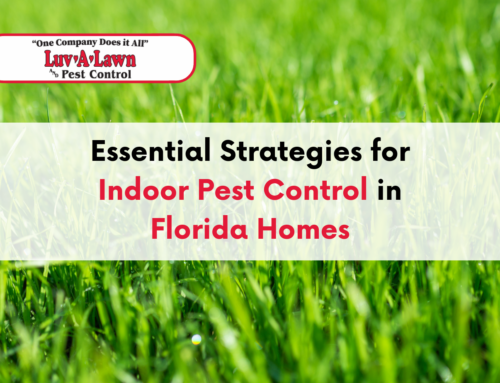 Essential Strategies for Indoor Pest Control in Florida Homes