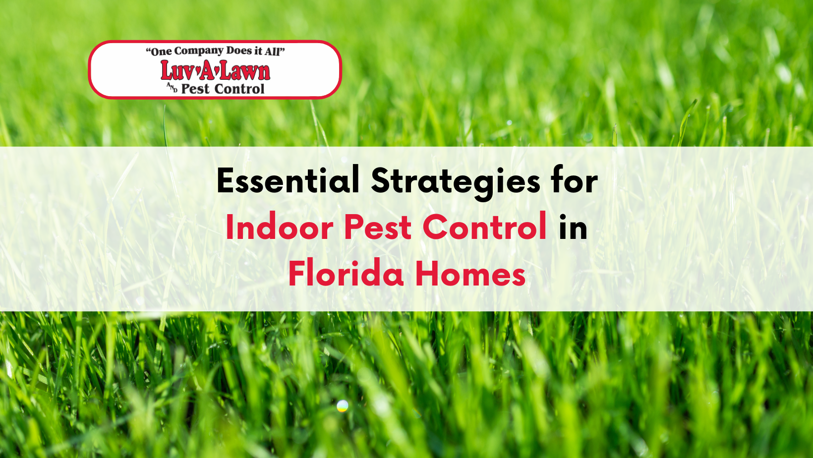 Strategies for Indoor Pest Control in Florida Homes - Luv-A-Lawn