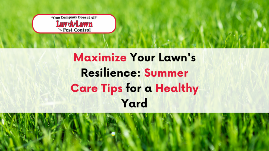 Lawn care