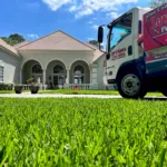 Florida Lawn Care: Uncover the Best Grass Seed for Shade