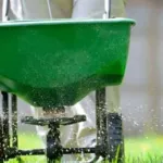 When to Fertilize & Feed Your Florida Lawn