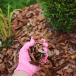 When & How You Should Be Mulching Leaves in Florida?